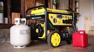 Gallery video 1 of 1