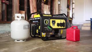 Gallery video 1 of 1