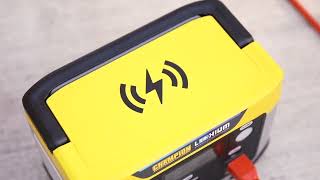 Gallery video 1 of 1