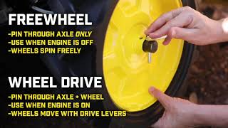 Gallery video 1 of 1