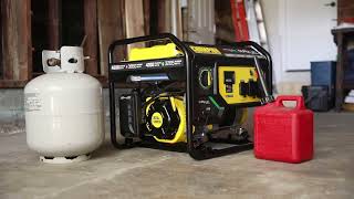 Gallery video 1 of 1