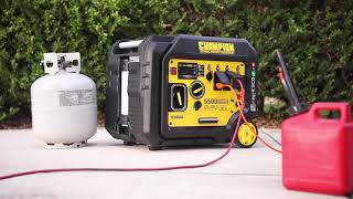 Gallery video 1 of 1