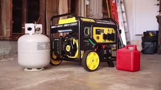 Gallery video 1 of 1