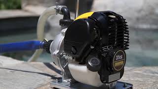 Gallery video 1 of 1