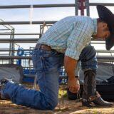 Gallery image 14 of 43