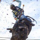 Gallery image 12 of 43