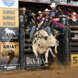 Gallery image 29 of 43