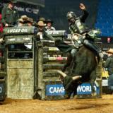 Gallery image 1 of 43