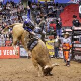 Gallery image 40 of 43