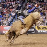 Gallery image 39 of 43