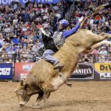 Gallery image 38 of 43