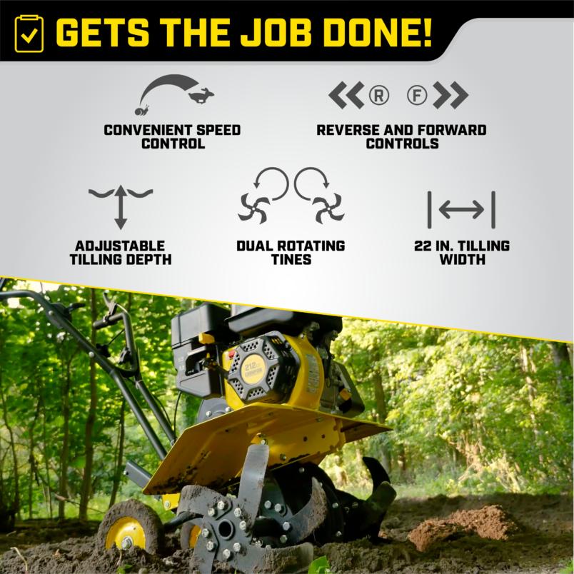 Gallery image 4 of 6