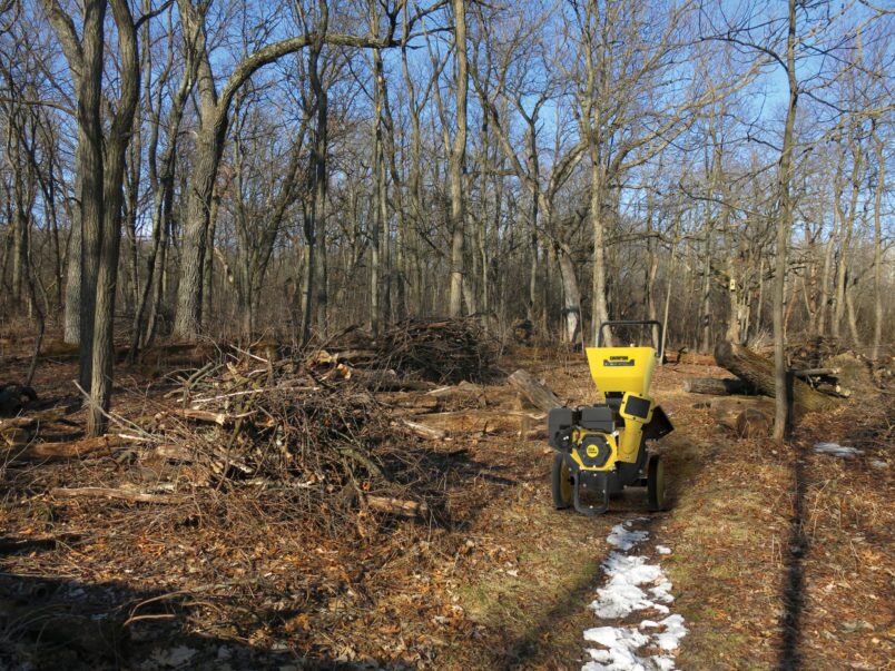 Gallery image 4 of 4