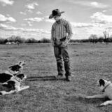 Gallery image 11 of 15