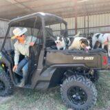 Gallery image 12 of 15