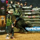 Gallery image 7 of 15