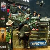 Gallery image 8 of 15