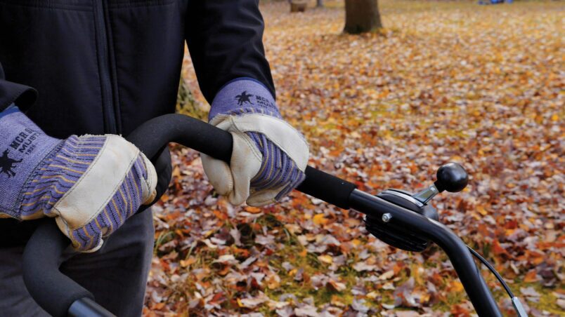 Gallery image 5 of 7