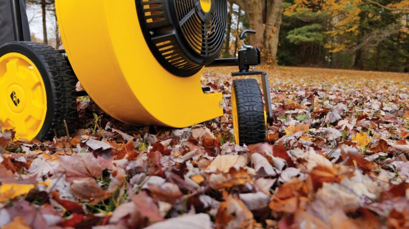 Gallery image 6 of 7