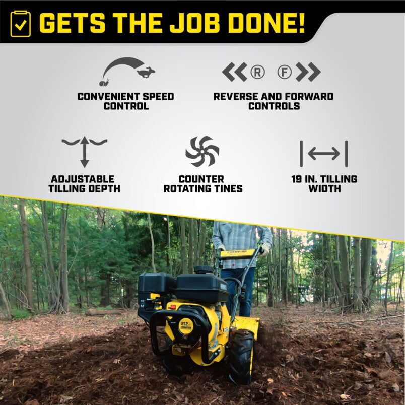 Gallery image 3 of 6