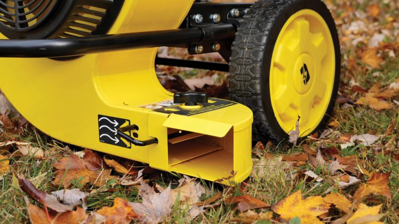 Gallery image 4 of 7