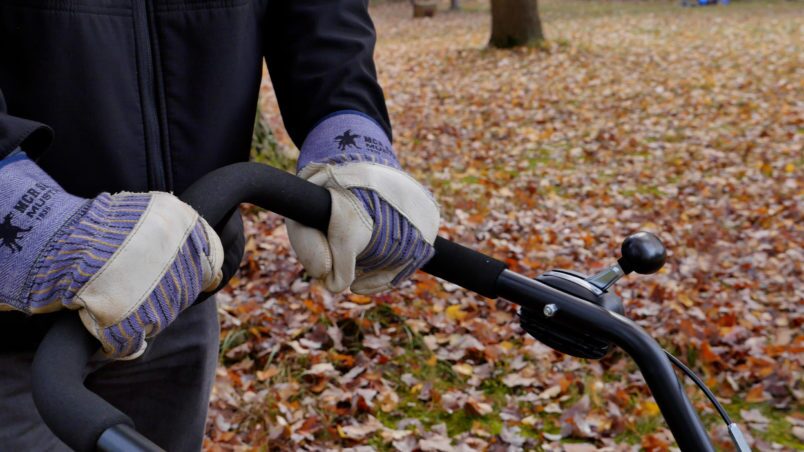 Gallery image 5 of 7