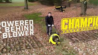 Gallery video 1 of 1