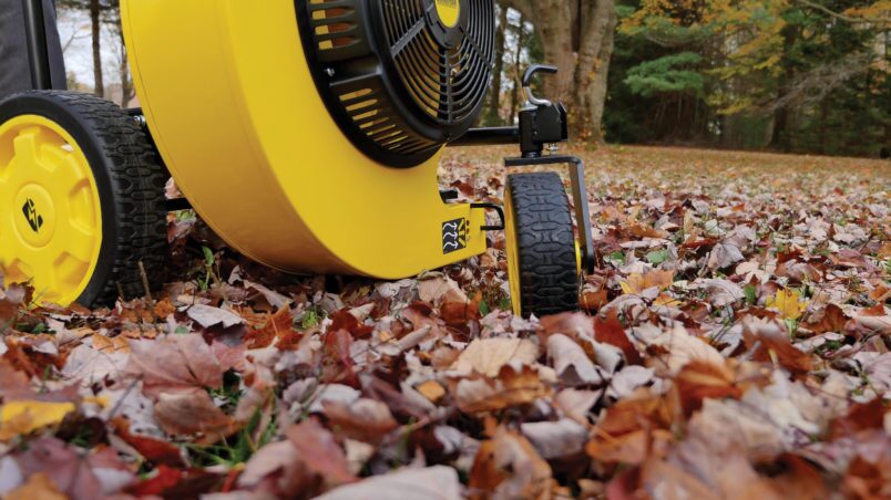 Gallery image 6 of 7