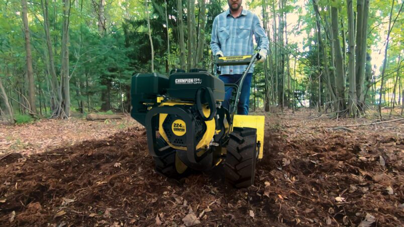 Gallery image 7 of 7