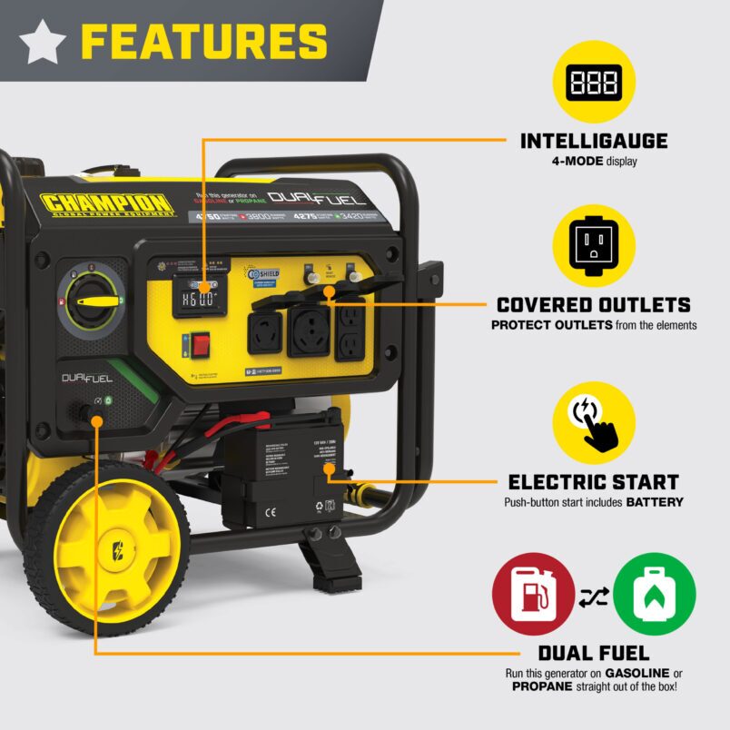 3800W Electric Start Dual Fuel Generator with CO Shield® - 201393