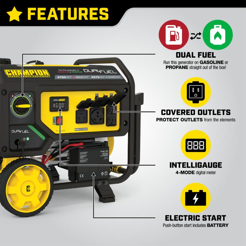 3800W Electric Start Dual Fuel Generator - 201052 - Champion Power